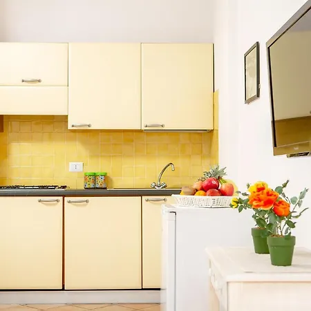 Apartment Lungoni