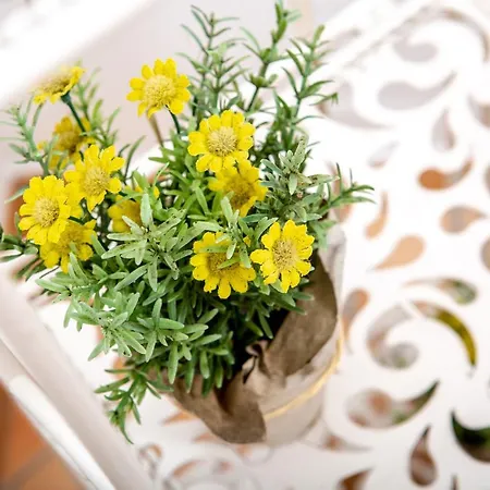 Apartment Lungoni Santa Teresa Gallura