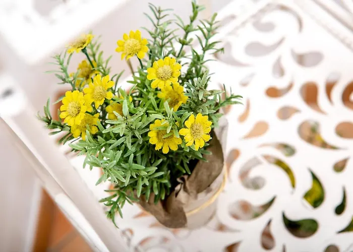 Appartement Lungoni Santa Teresa Gallura